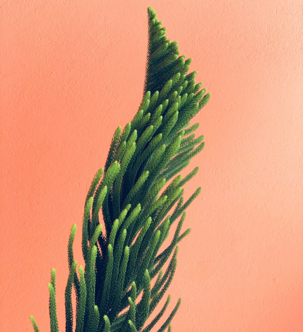 why-choose-us Why Choose Us